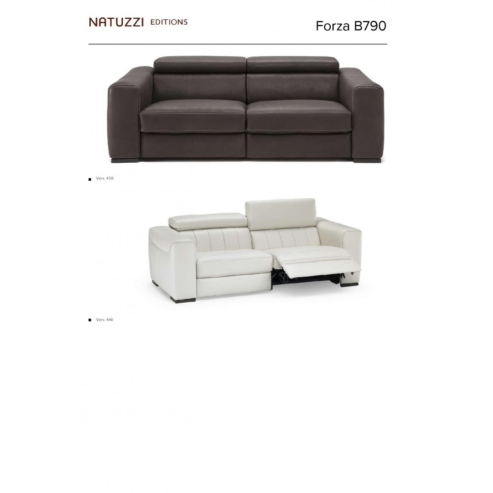 Natuzzi B790458 Forza Sofa